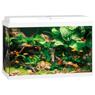 Afbeelding van Juwel Aquarium Primo 70 61x31x44 cm Aquaria Wit Ca. L