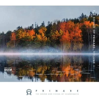 Afbeelding van Various Artists The Sound Of Primare Vol. 1 (2 LP)