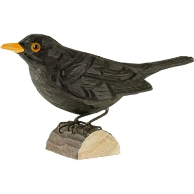 Afbeelding van Houten vogel merel