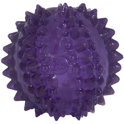 Afbeelding van JW Hondenspeelgoed Bristl ee Cactus Ball