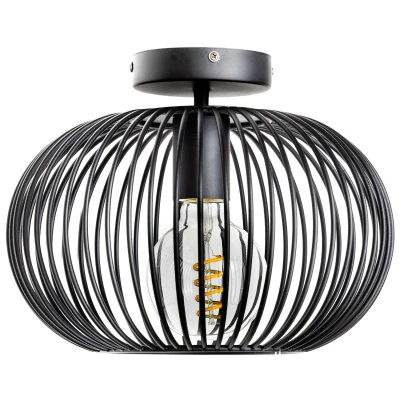 Afbeelding van ETH Wire 2.0 Plafonniere Ø30 CM Zwart