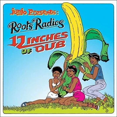 Afbeelding van Roots Radics General Echo (2 CD)