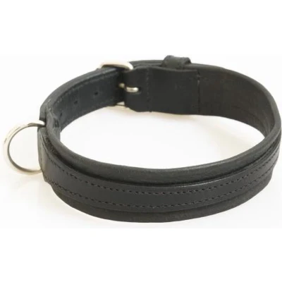 Afbeelding van Hondenhalsband zwart 40 cm