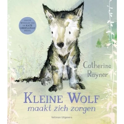 Afbeelding van Kleine Wolf maakt zich zorgen