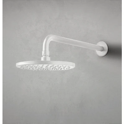 Afbeelding van Waterevolution Flow hoofddouche 250mm met muuraansluiting mat wit T164125BR