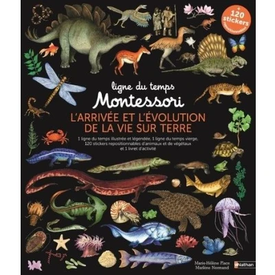 Image de Ligne du temps Montessori L&#039;arrivée et l&#039;évolution de la vie sur terre