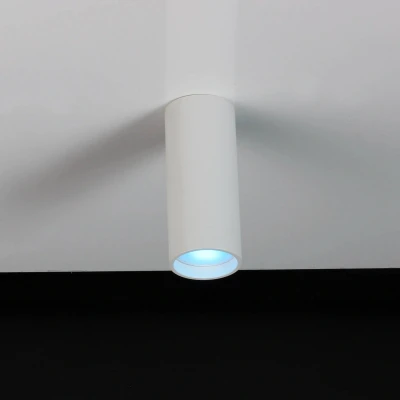 Afbeelding van LUTEC Connect STAG Plafondspot Smart LED RGBW Wit