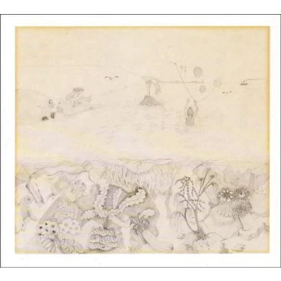 Afbeelding van Robert Wyatt Rock Bottom (LP)