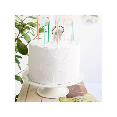 Afbeelding van Folat Verjaardagskaarsjes Zoo Party 10 cm 11 stuks