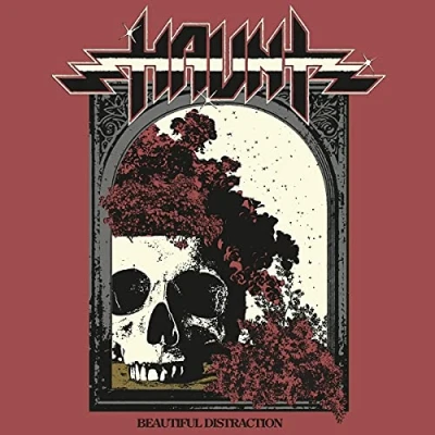 Afbeelding van Haunt Beautiful Distraction (LP)