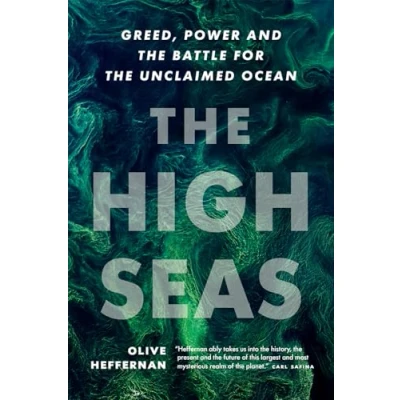 Afbeelding van The High Seas
