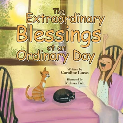 Afbeelding van The Extraordinary Blessings of an Ordinary Day