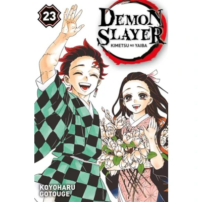 Image de Demon Slayer T23