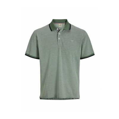Afbeelding van Jack &amp; Jones Premium Poloshirt, Heren, Maat: XL, Dark ivy