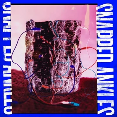 Afbeelding van Snapped Ankles Forest Of Your Problems (CD)