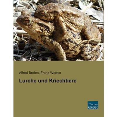 Afbeelding van Lurche und Kriechtiere