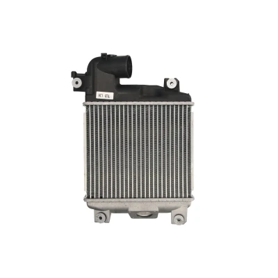 Afbeelding van THERMOTEC DA2004TT Intercooler