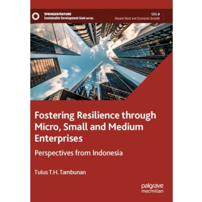 Afbeelding van Sustainable Development Goals Series Fostering Resilience through Micro, Small and Medium Enterprises