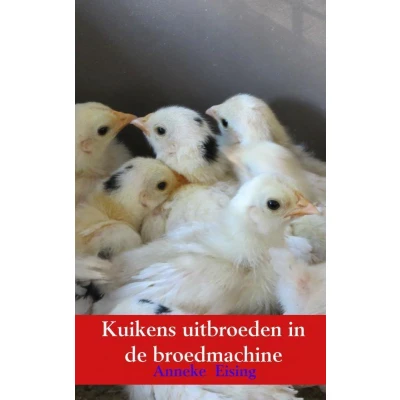Afbeelding van Kuikens uitbroeden in de broedmachine