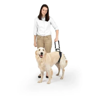 Afbeelding van Altranet Hondenheftuigje Carelift 80 114 Cm Nylon Bruin/zwart