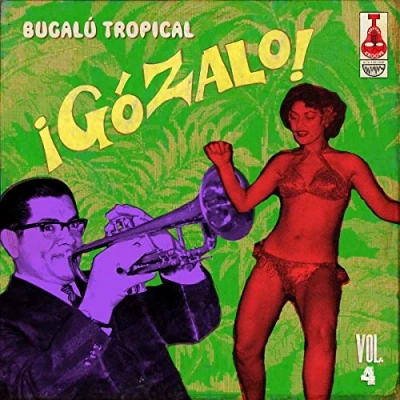 Afbeelding van Various Artists Gozalo, Volume 4 (CD)