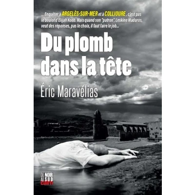 Image de Du Plomb dans la tête