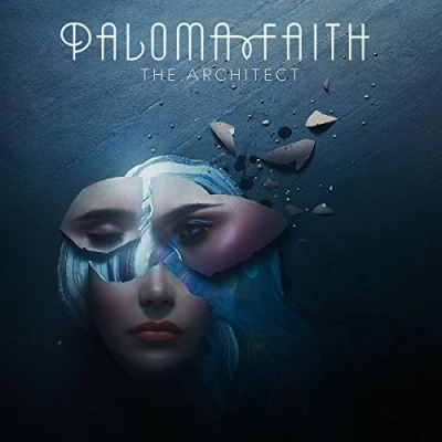 Afbeelding van The Architect (LP)