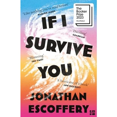 Afbeelding van If I Survive You