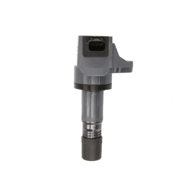Afbeelding van DELPHI GN10421 Bobine