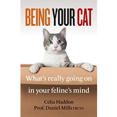 Afbeelding van Being Your Cat