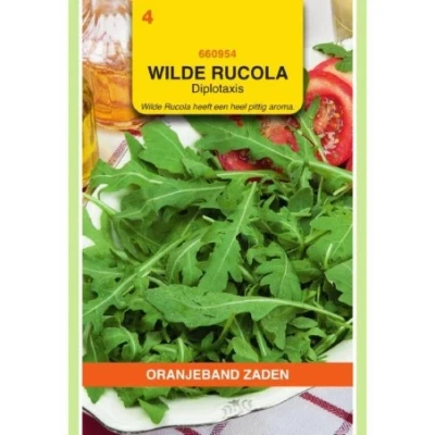 Afbeelding van Wilde rucola diplotaxis