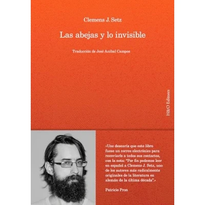 Afbeelding van Las abejas y lo invisible