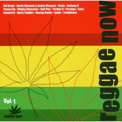 Afbeelding van Various Artists Reggae Now Vol. 1 (CD)