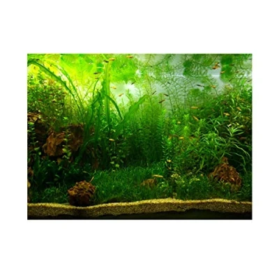 Afbeelding van Aquarium achtergrond vis tank decoraties foto&#039;s, PVC, zelfklevend, poster, water, gras, achtergrond, decoratie, papier, stickers, 61 x 30 cm
