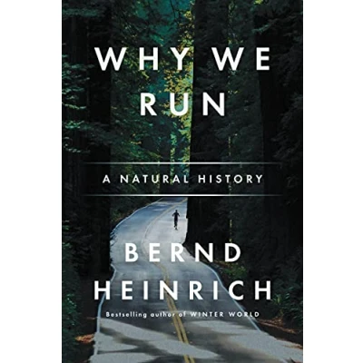 Afbeelding van Why We Run