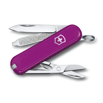 Afbeelding van Victorinox Classic SD zakmes Tasty Grape 7 functies RVS