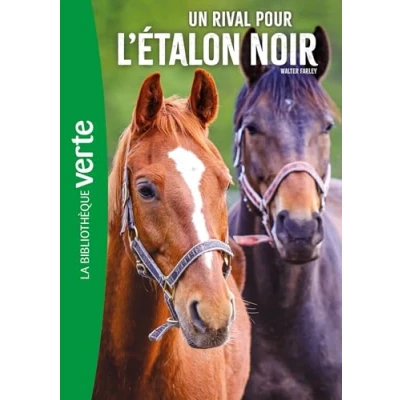 Afbeelding van L&#039;Etalon noir 14 NED Un rival pour l&#039;étalon