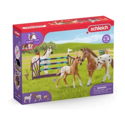 Afbeelding van Schleich Playset Horse Club Lisa’s Toernooitraining