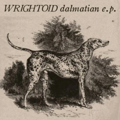 Afbeelding van Dalmatian