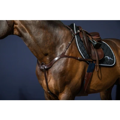 Image de Dyon Anatomical Breastplate US Jumping Collection
