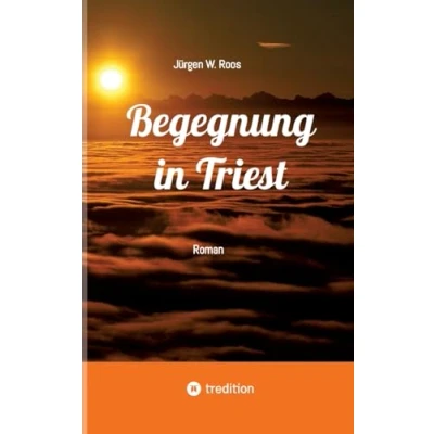 Afbeelding van Begegnung in Triest Ein spannender Politthriller