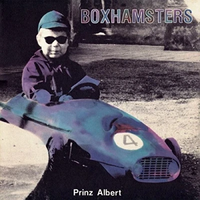 Afbeelding van Boxhamsters Prinz Albert (2 LPs)