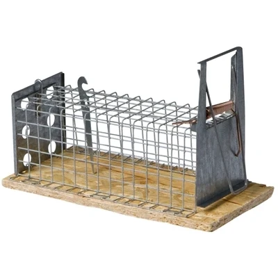 Afbeelding van Luna Houten Muizenval Recht 1 Kleps 16 CM