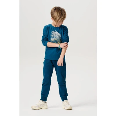 Afbeelding van Noppies Tee Hourtin long sleeve Jongens T shirt Maat 92