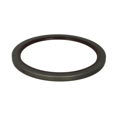 Afbeelding van Elring Wielnaaf keerring 485.890