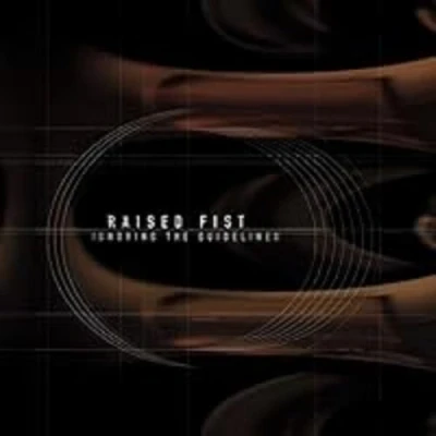 Afbeelding van Raised Fist Ignoring the Guidelines (LP)