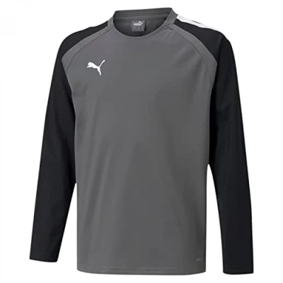 Afbeelding van Puma Teamliga Sweater Kinderen Grijs Maat: 140