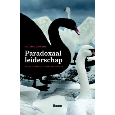 Afbeelding van Paradoxaal leiderschap