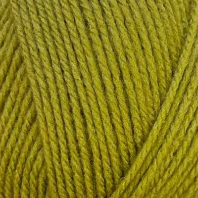 Afbeelding van Stylecraft Special DK 2180 Mistletoe