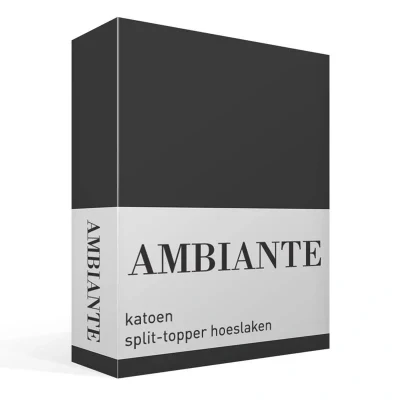 Afbeelding van Hoeslaken Lits Jumeaux 180x210 Ambiante Katoen Grijs 2 Persoons